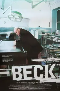 Комиссар Мартин Бек онлайн